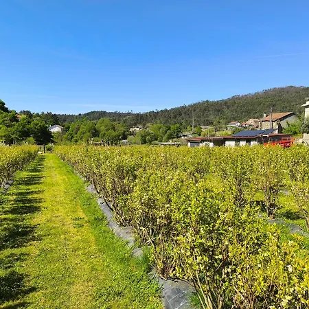 Parco vacanze Orberry