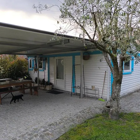 База отдыха Orberry *