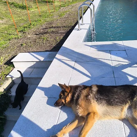 База отдыха Orberry